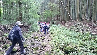 DSC_0093.jpg