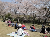 DSC01938.jpg