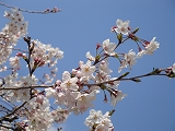 DSC01940.jpg