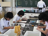 DSCF0016.jpg