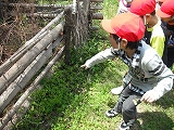 DSCF0024.jpg