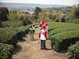 DSCF0042.jpg