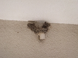 DSCF0377.jpg