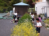 DSCF0378.jpg
