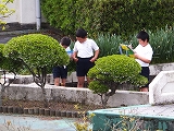 DSCF0380.jpg