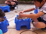 DSCF0587.jpg