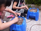 DSCF0588.jpg