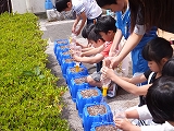 DSCF0590.jpg