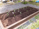 DSCF0593.jpg