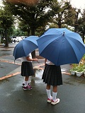 20100916A.jpg 20100916A.jpg
