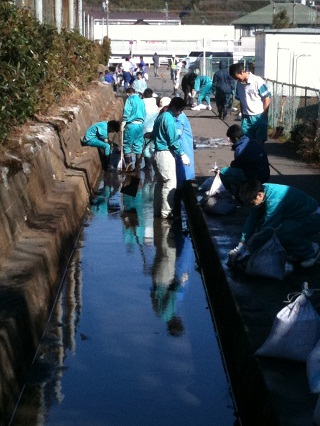 20110310B.jpg