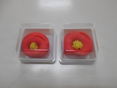 DSCN0407.jpg